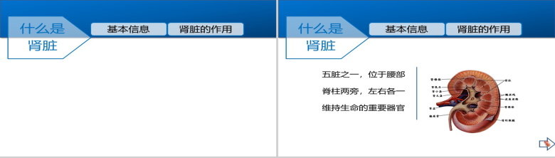 蓝白主题护士医学PPT模板-4