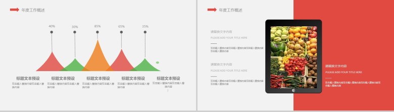 有机水果蔬菜类产品宣传介绍工作总结PPT模板-4