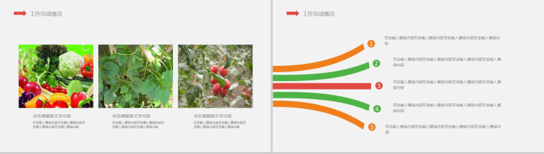 有机水果蔬菜类产品宣传介绍工作总结PPT模板-6