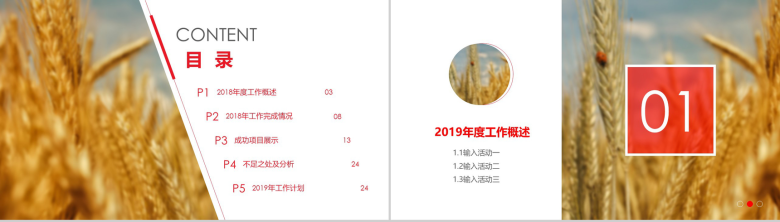 大气商务个人述职转正年终总结汇报动态模板-2