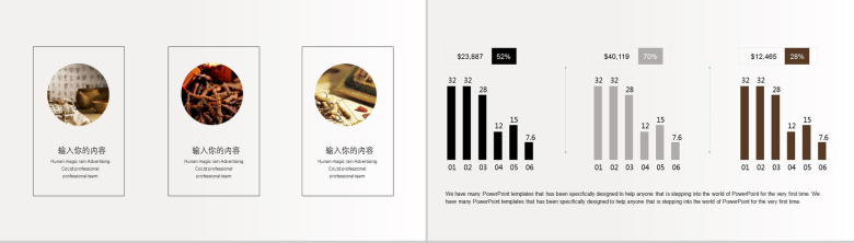 简洁简约中医养生文化介绍宣传工作总结PPT模板-4