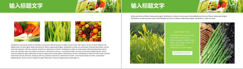 简约大气绿色农产品背景优势介绍培训创意环保食物基地介绍宣传PPT模板-3