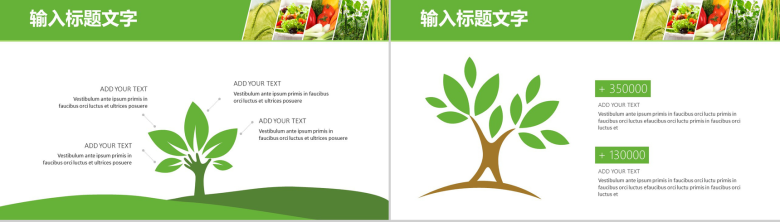 简约大气绿色农产品背景优势介绍培训创意环保食物基地介绍宣传PPT模板-9