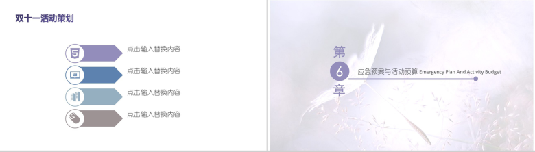 文艺简约清新双十一活动策划PPT模板-11
