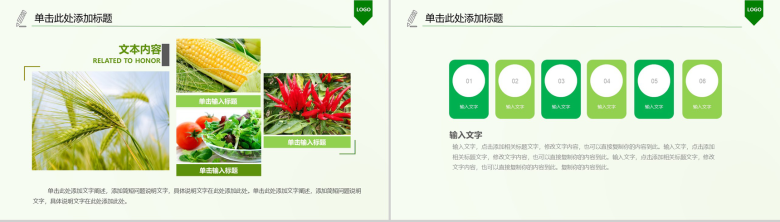 扁平化绿色健康饮食农业生产种植PPT模板-13