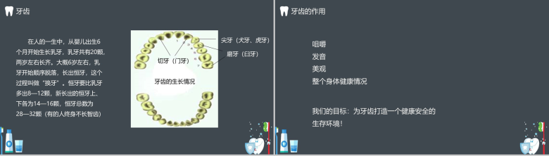 关爱牙齿全国爱牙日主题班会PPT模板-5