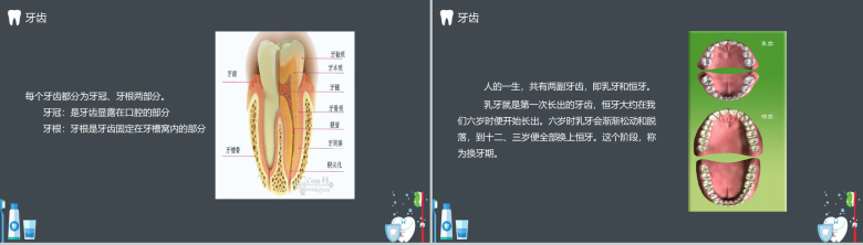 世界爱牙日主题班会通用PPT模板-4