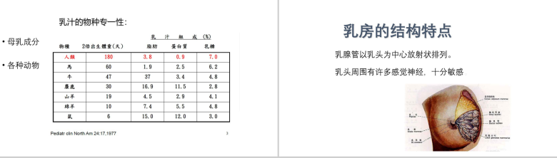 世界母乳喂养周母乳喂养PPT模板-5