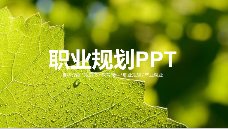 毕业就业大学生职业生涯规划PPT模板-1