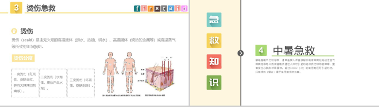 清新动态急救知识常用急救知识培训PPT模板-12