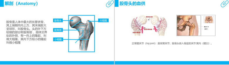 股骨颈骨折护理查房工作汇报PPT模板-5