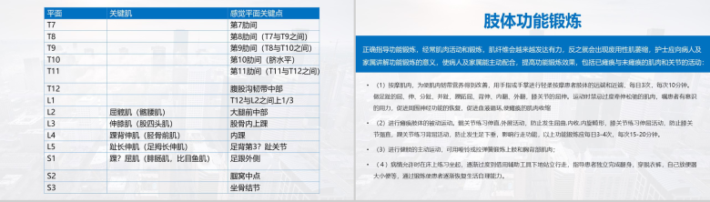 脊髓损伤的护理查房PPT模板-14