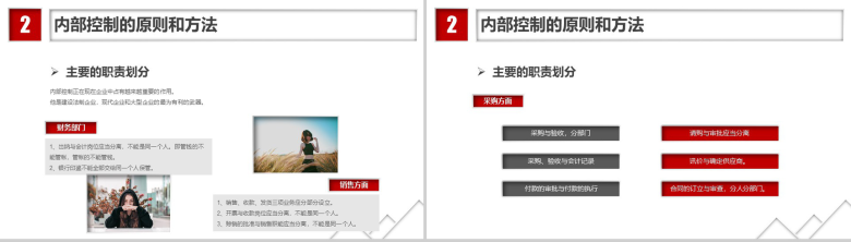 简约红黑白财务知识培训PPT模板-13