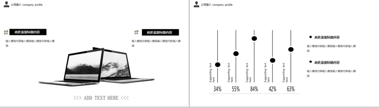 简约企业发展规划PPT模板-3