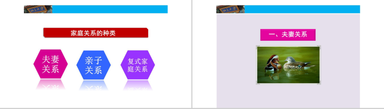 隔代教育成功家庭教育培训PPT模板-5