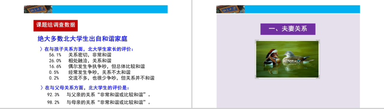 和谐家庭刺猬理论家庭教育PPT模板-2