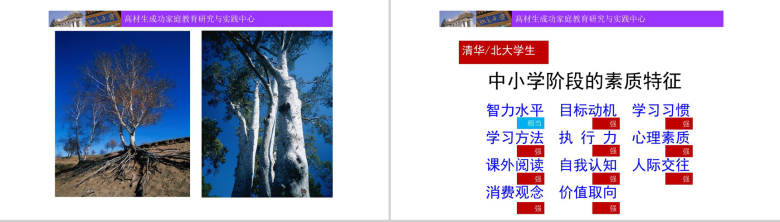 北大高材生成功家庭教育培训课程PPT模板-4