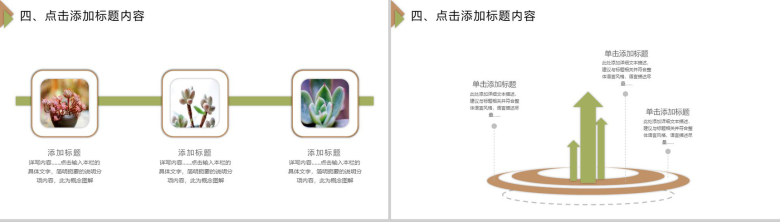 白色简约多肉植物工作汇报PPT模板-11