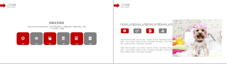 宠物诊所工作总结商务报告PPT模版-4