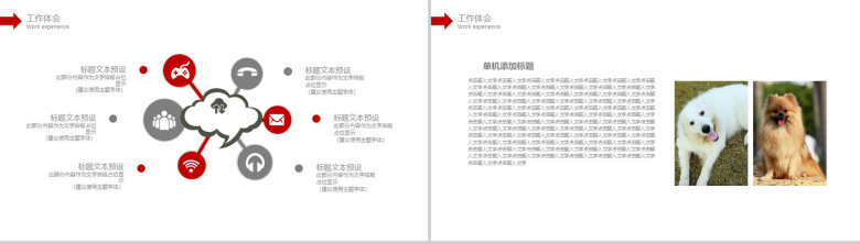 宠物诊所工作总结商务报告PPT模版-8