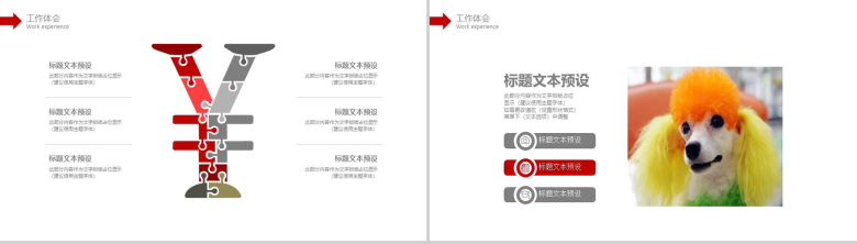 宠物诊所工作总结商务报告PPT模版-9