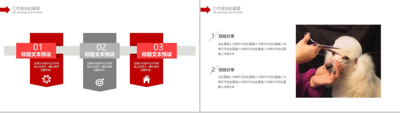 宠物诊所工作总结商务报告PPT模版-12