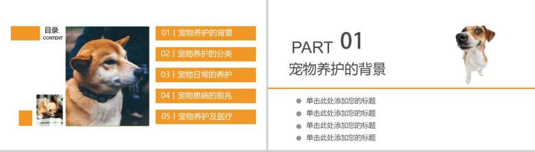 可爱风宠物养护医疗PPT模板-2