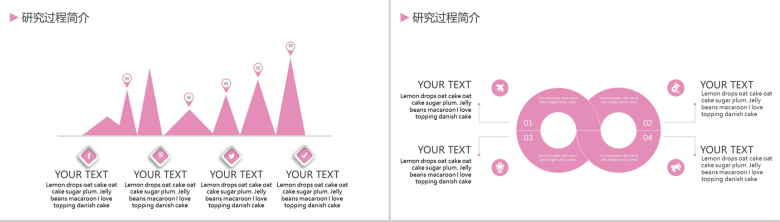 粉色日系文艺小清新工作总结PPT模板-5