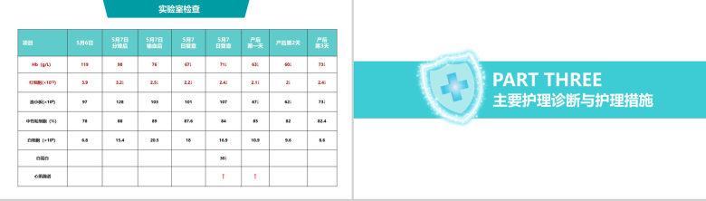 医院病例学术研究会工作汇报PPT模板-6