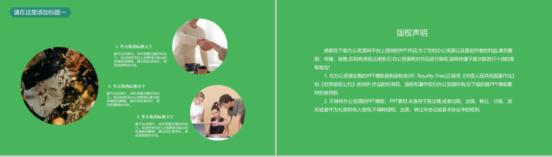 小清新绿植系列2020年终报告工作总结PPT模板-10