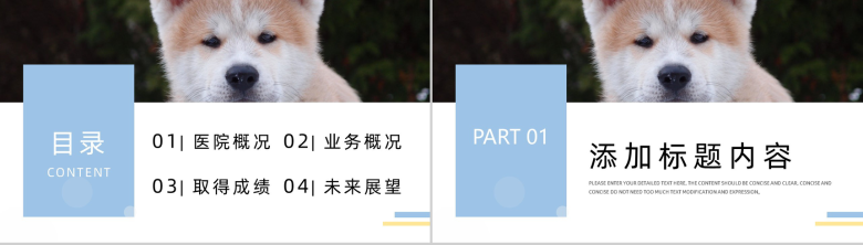简约撞色宠物医院介绍PPT模板-2