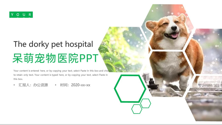 可爱呆萌宠物医院介绍PPT模板-1