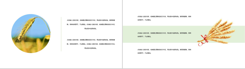 中国传统节日之芒种由来介绍PPT模板-5