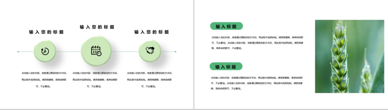 小清新芒种节气介绍PPT模板-7