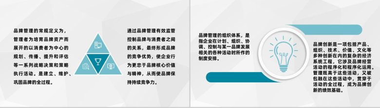 公司战略品牌管理计划方案产品项目合作发展规划PPT模板-7