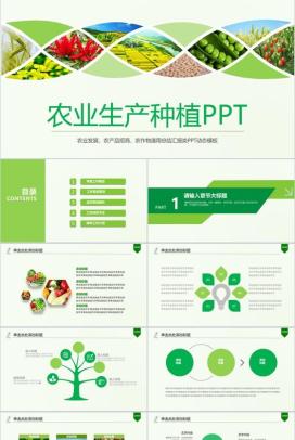 扁平化绿色健康饮食农业生产种植PPT模板