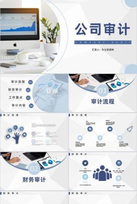 企业投资货币财务资金公司审计项目专用PPT模板