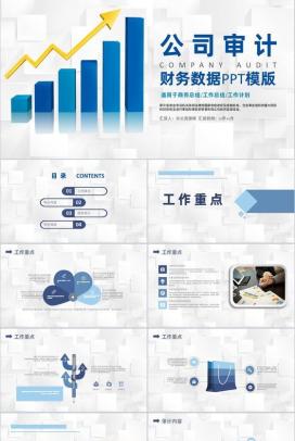 商务行业公司审计项目工作重点通用工作报告PPT模板