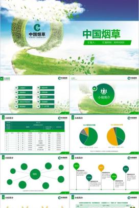 炫彩动态中国烟草局工作汇报PPT模板