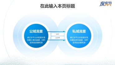 两项版式