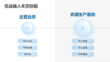 2项版式